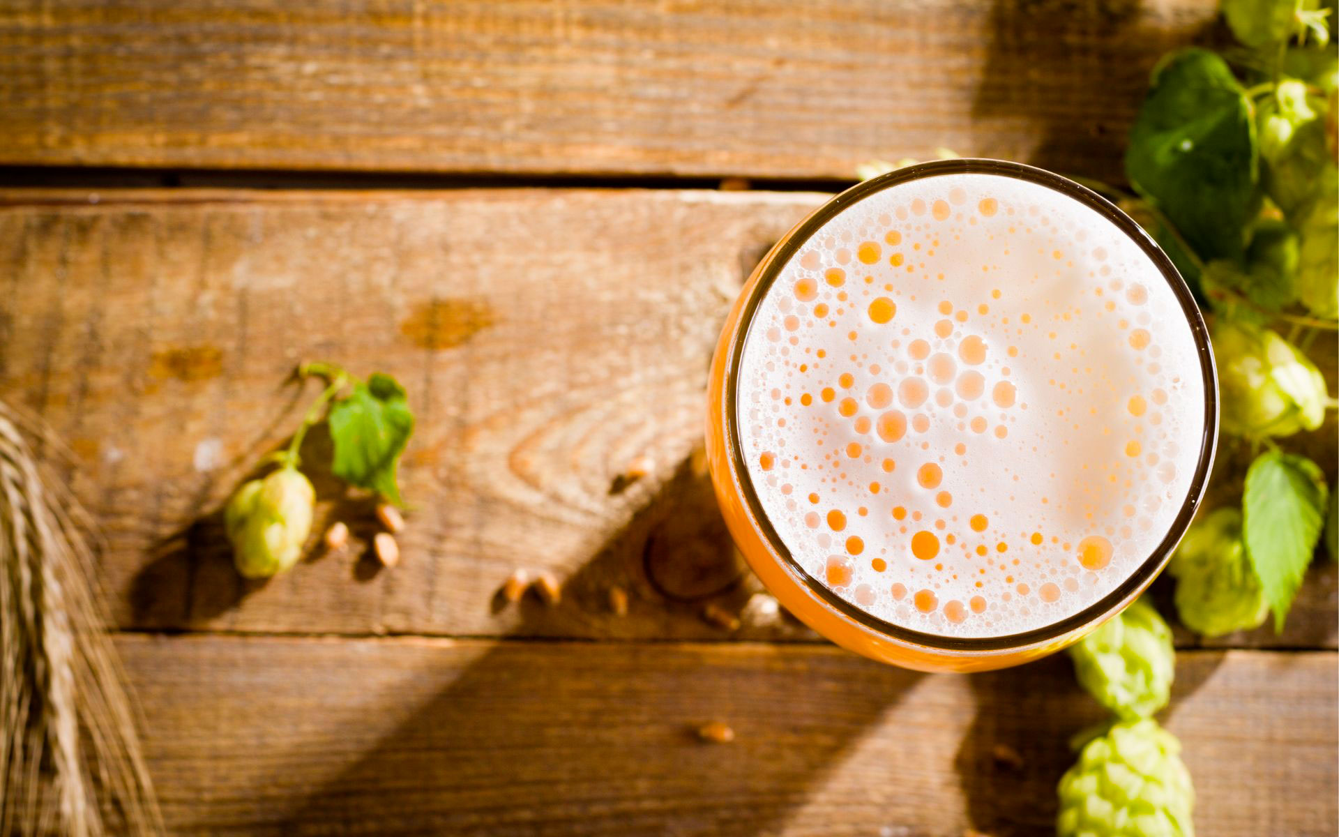 La bière, sans doute une des boissons les plus anciennes qui cache encore pourtant des petits miracles!